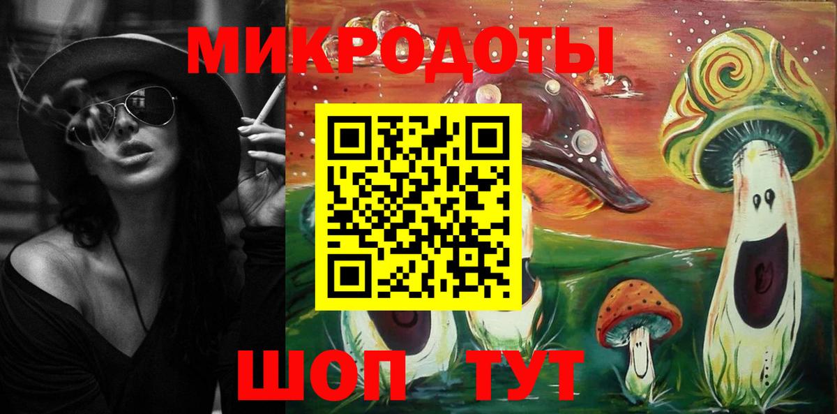 Псилоцибиновые грибы Psilocybe Долгопрудный