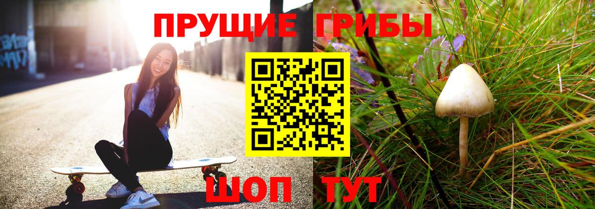 Галлюциногенные грибы прущие грибы  Псилоцибиновые грибы Psilocybe  Вход с VPN  Долгопрудный 